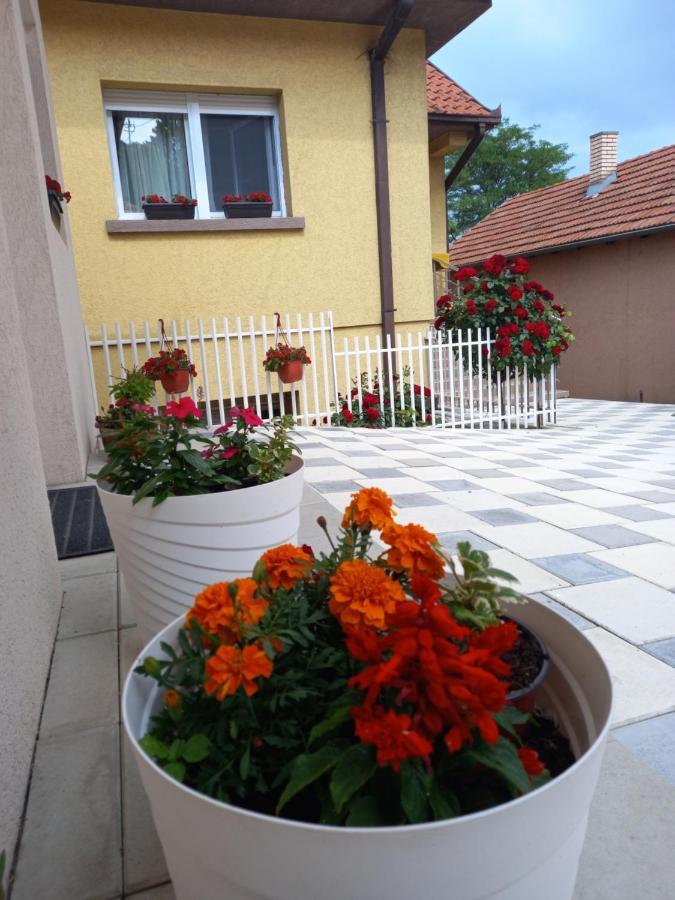 Leda Apartmani Smederevo Eksteriør billede