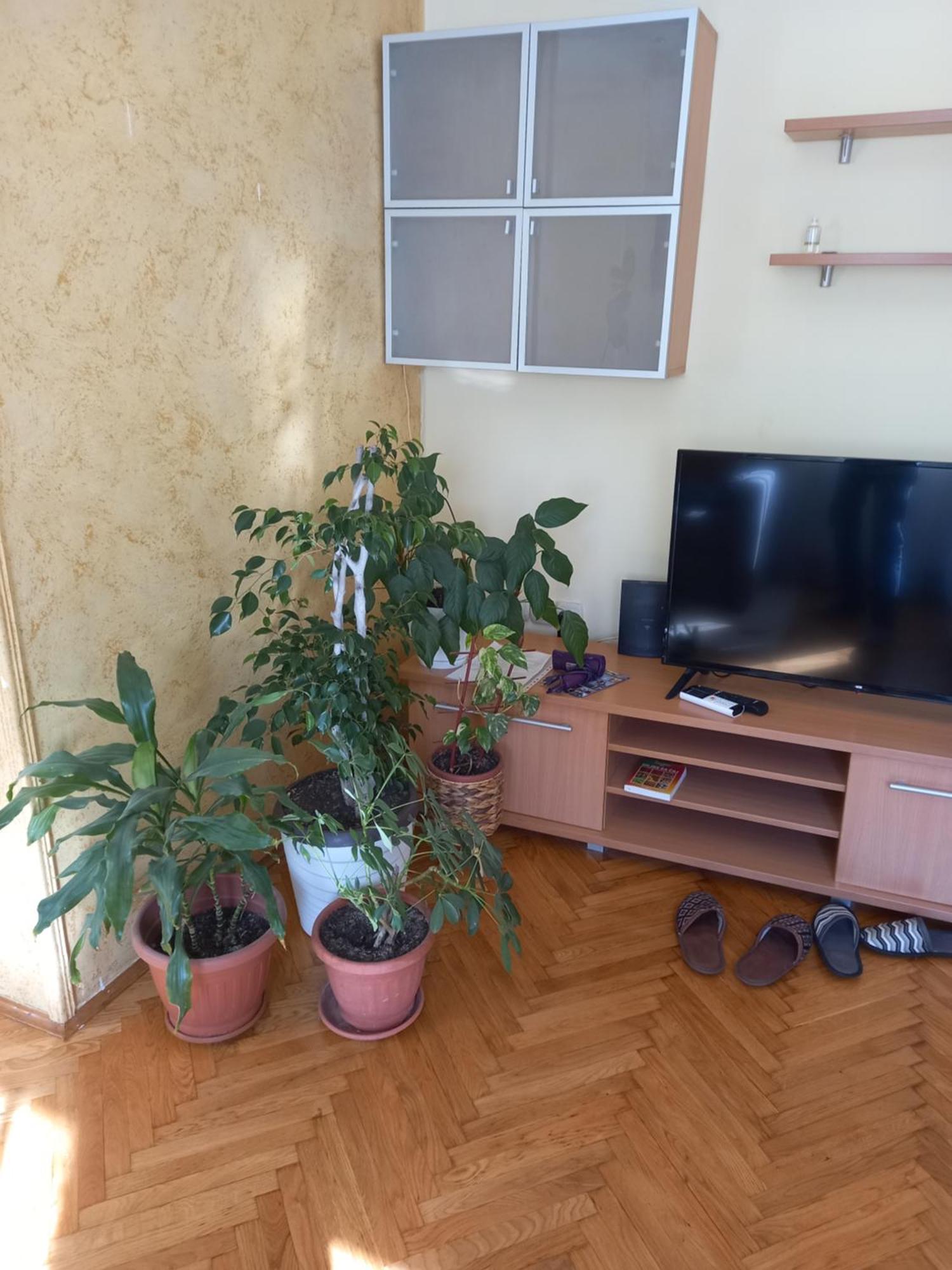 Leda Apartmani Smederevo Eksteriør billede